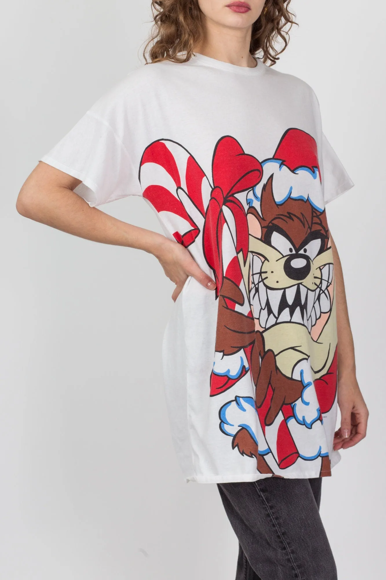 90s Christmas Tazmanian Devil T Shirt Dress - One Size