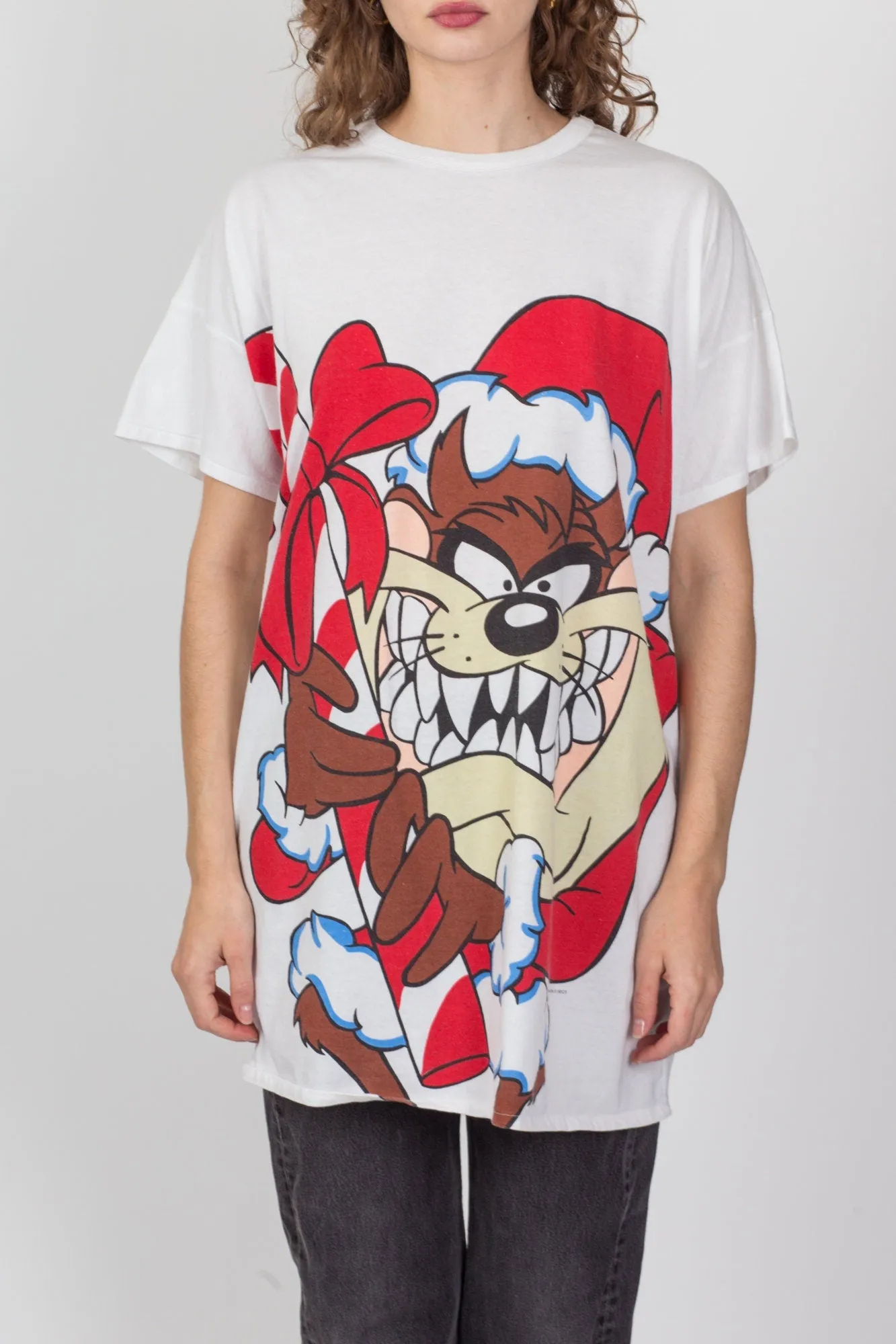 90s Christmas Tazmanian Devil T Shirt Dress - One Size