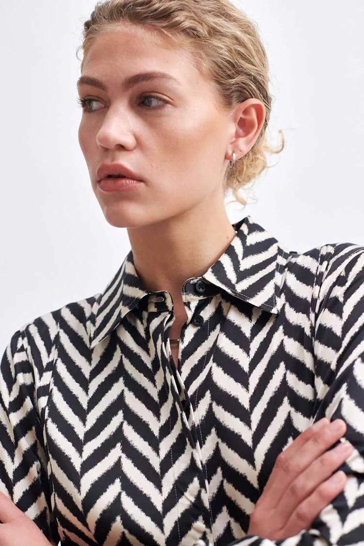 Ashlen Zig Zag Printed Dress
