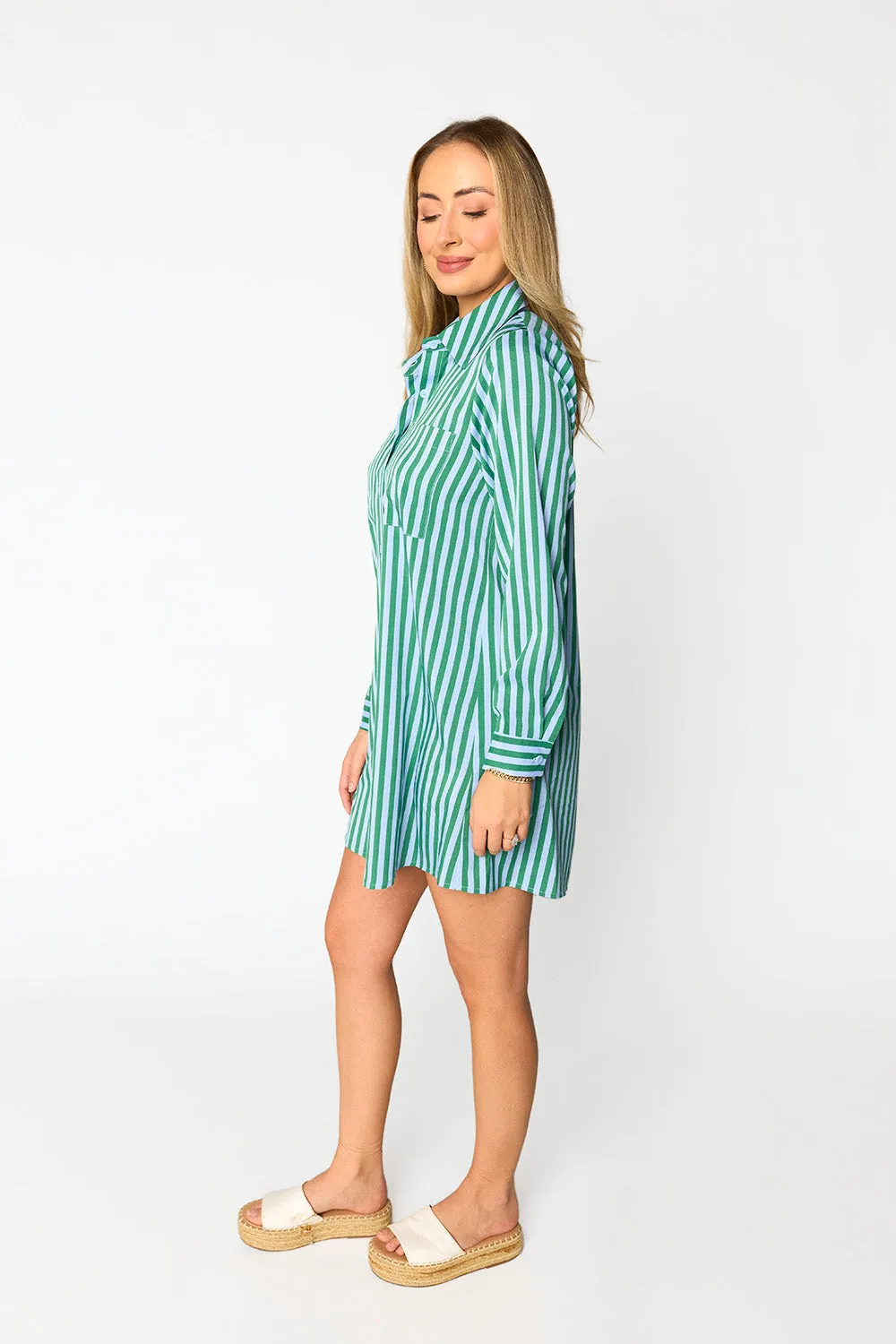 Beau Mini Shirt Dress Cucumber Water