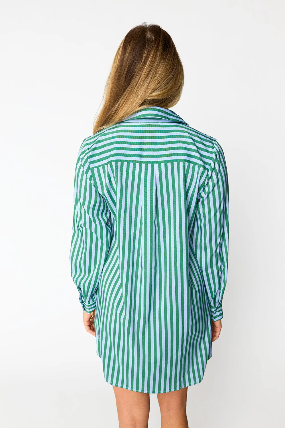 Beau Mini Shirt Dress Cucumber Water