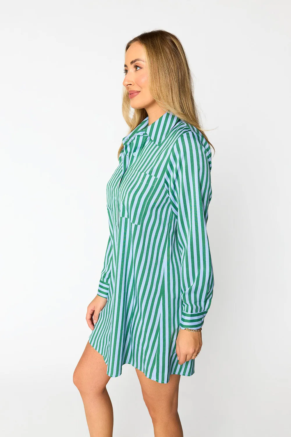 Beau Mini Shirt Dress Cucumber Water