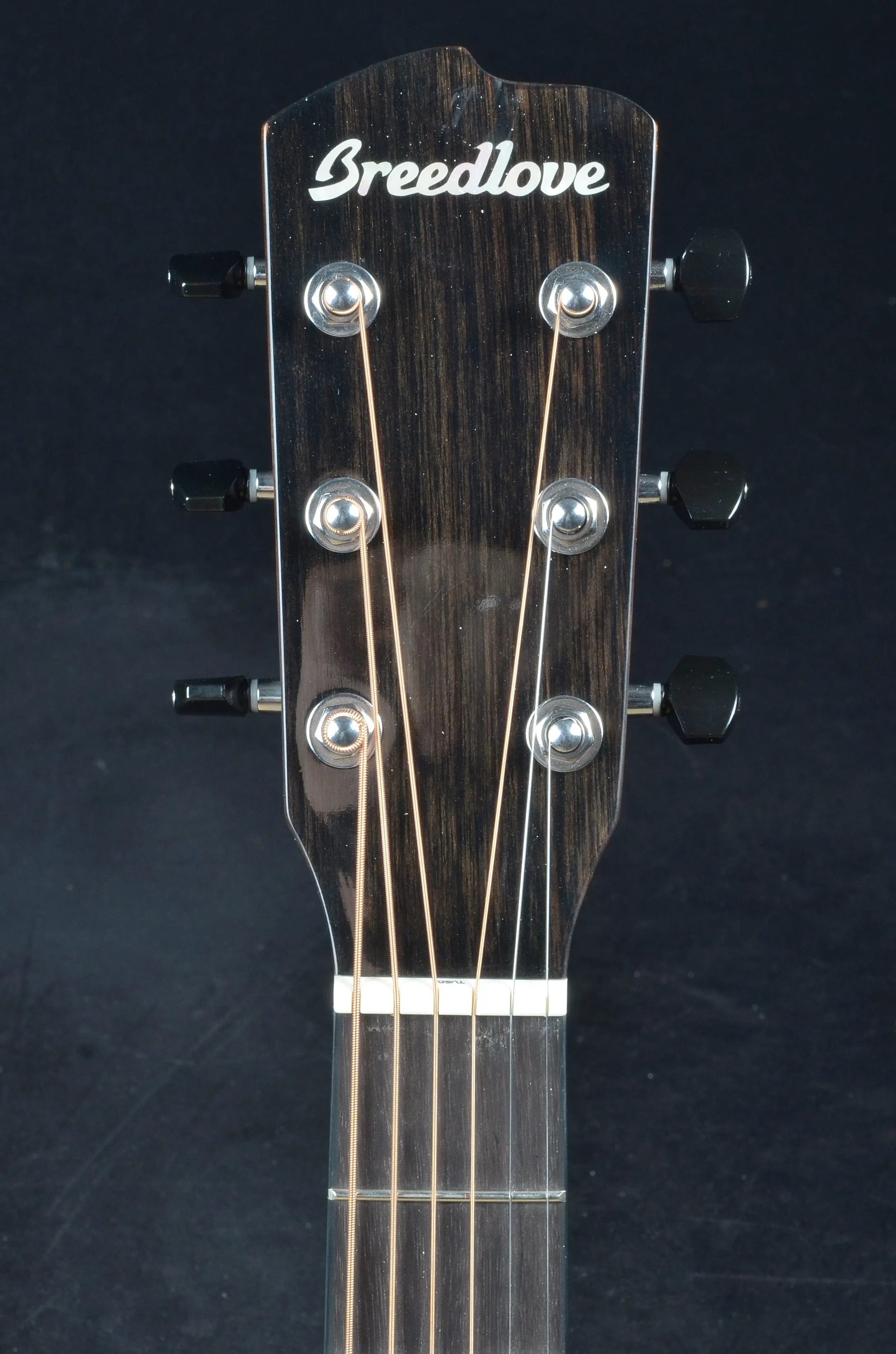 Breedlove Organic Wildwood Pro Concertina Suede CE