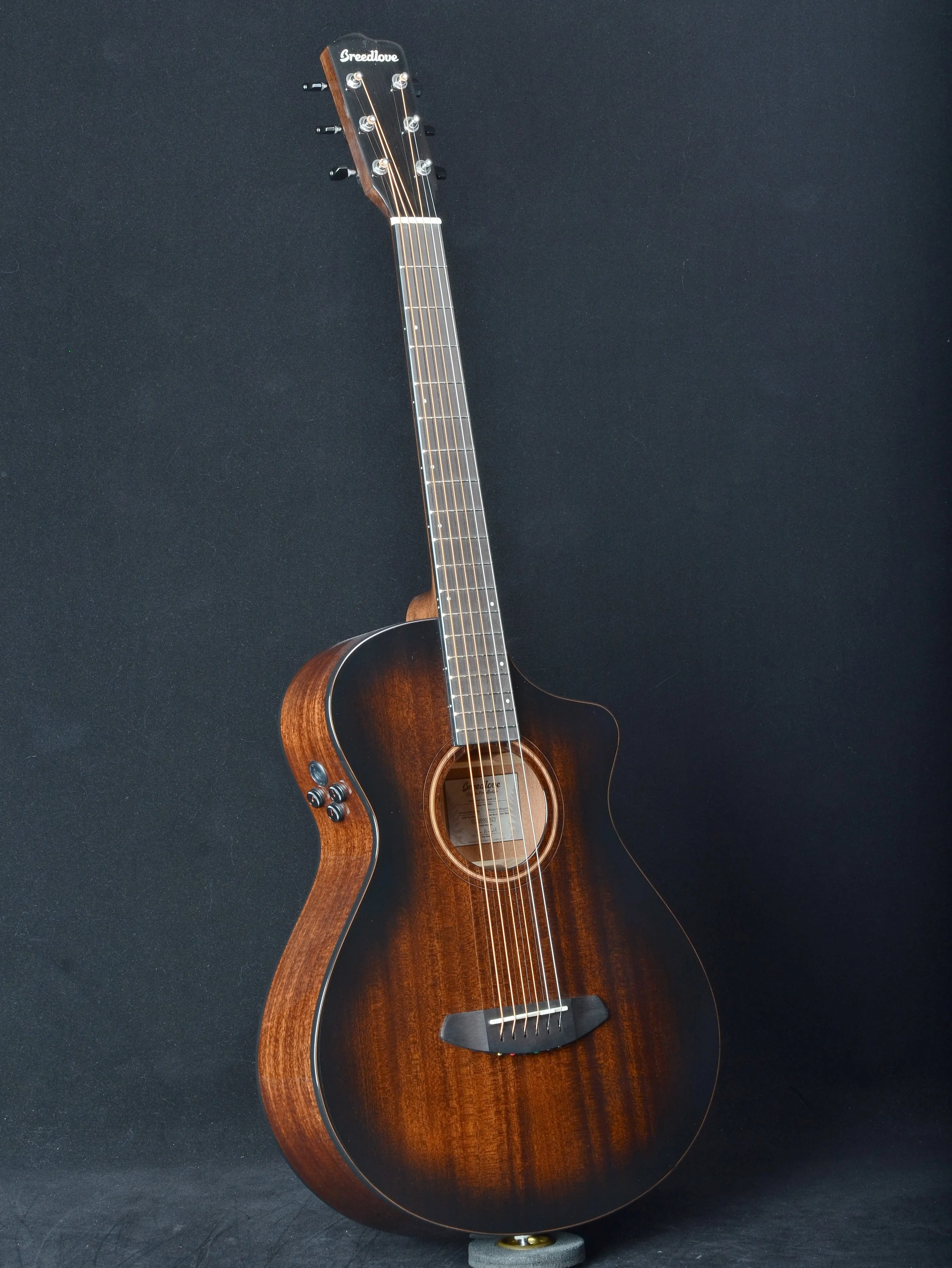Breedlove Organic Wildwood Pro Concertina Suede CE