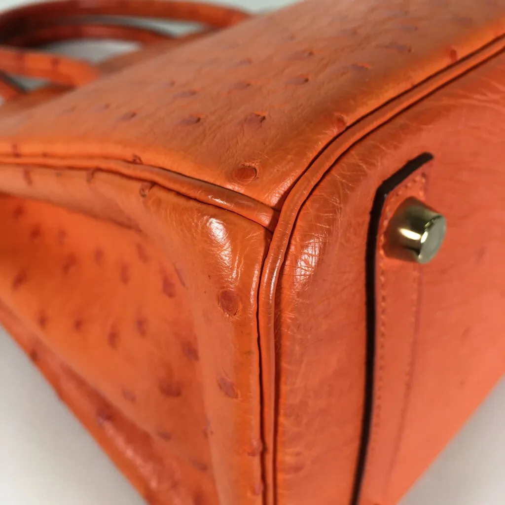 Hermès Ostrich Birkin