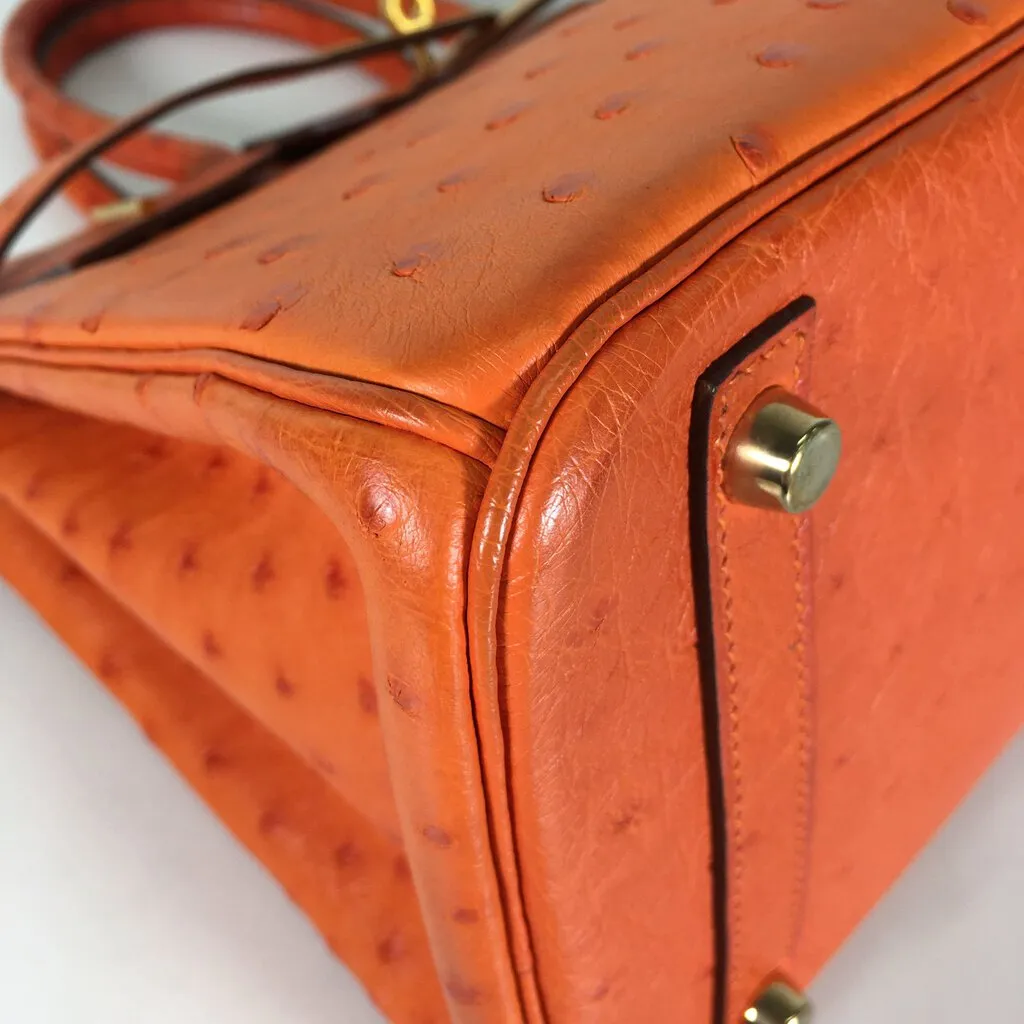 Hermès Ostrich Birkin