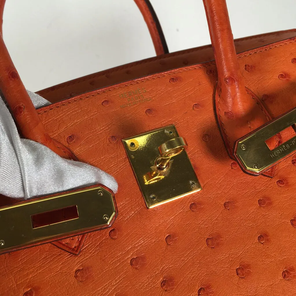 Hermès Ostrich Birkin