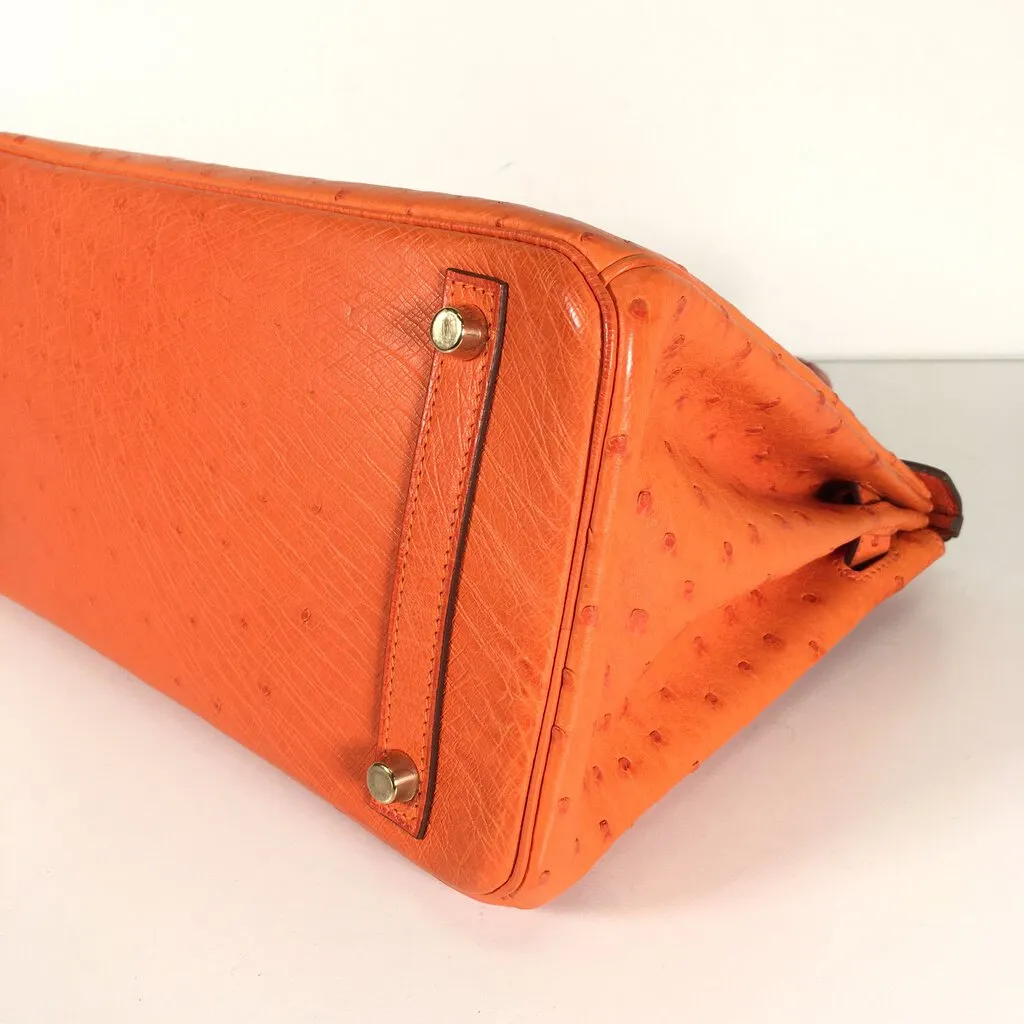 Hermès Ostrich Birkin