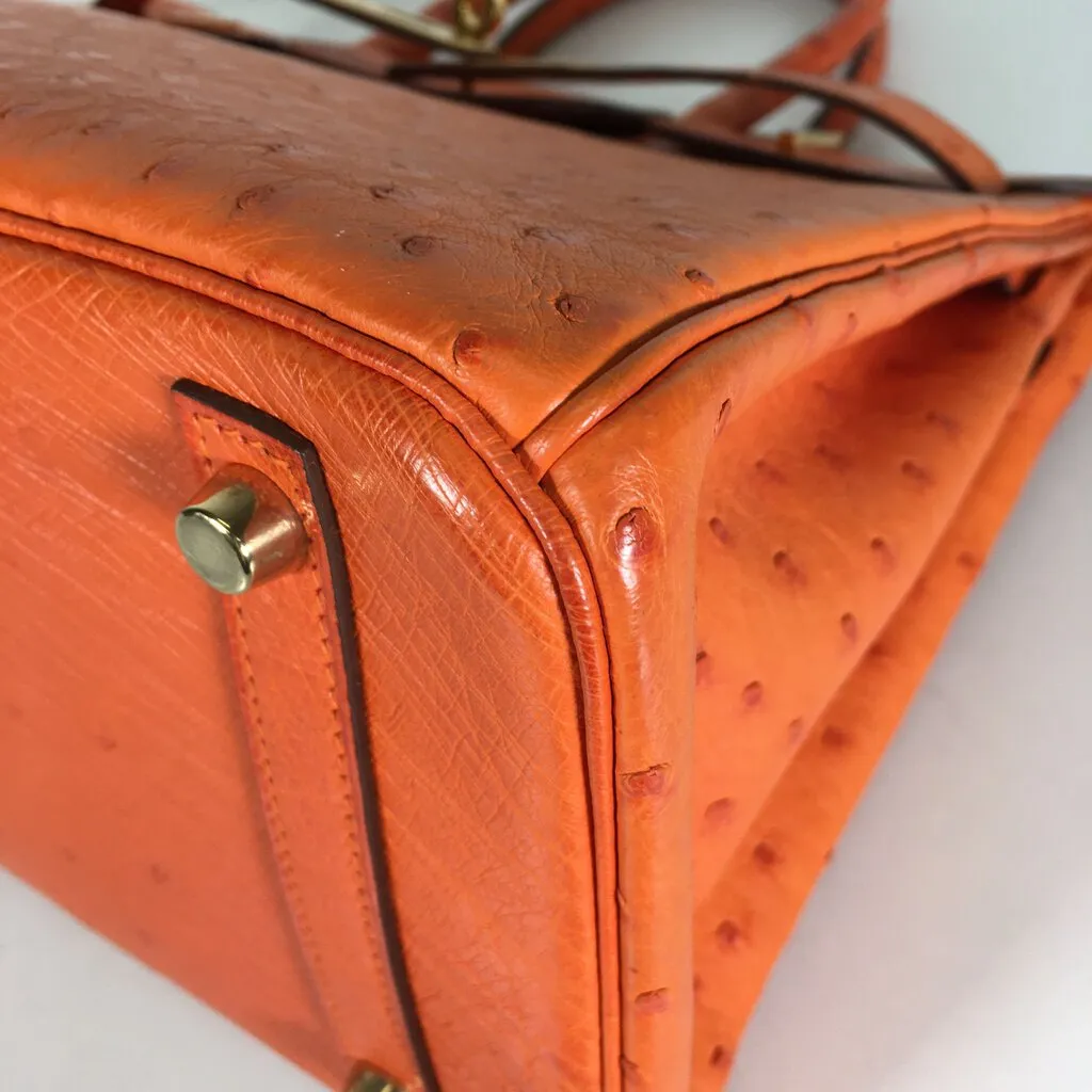 Hermès Ostrich Birkin