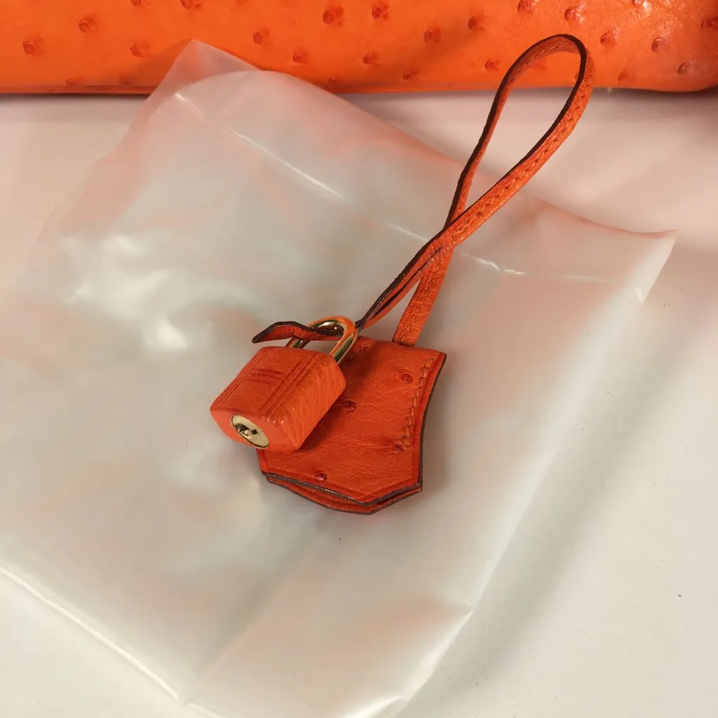 Hermès Ostrich Birkin