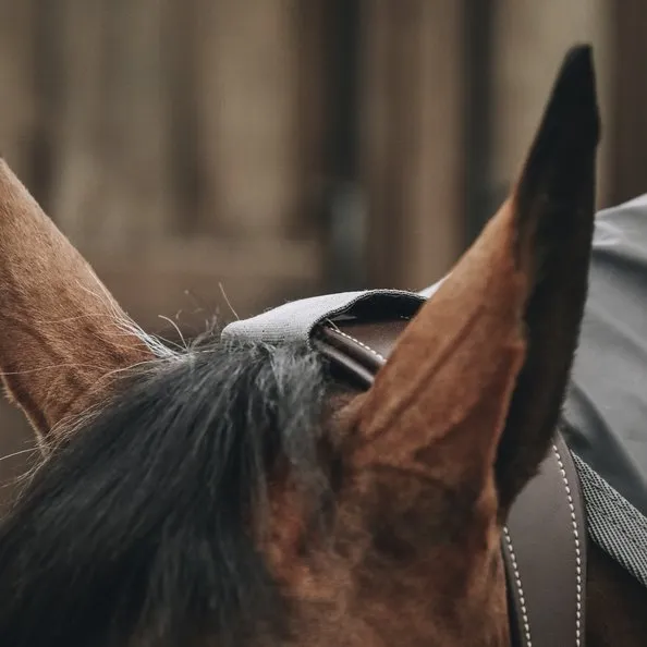 Horse Raincoat (Show Rug) | Kentucky Horsewear