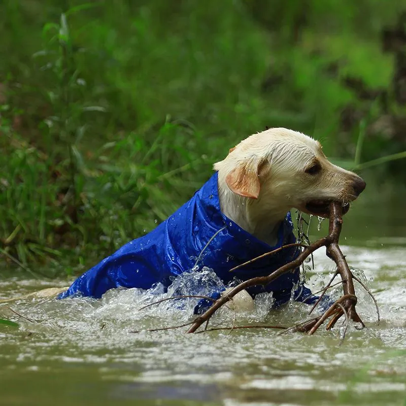 Premium Dog Raincoat Jacket