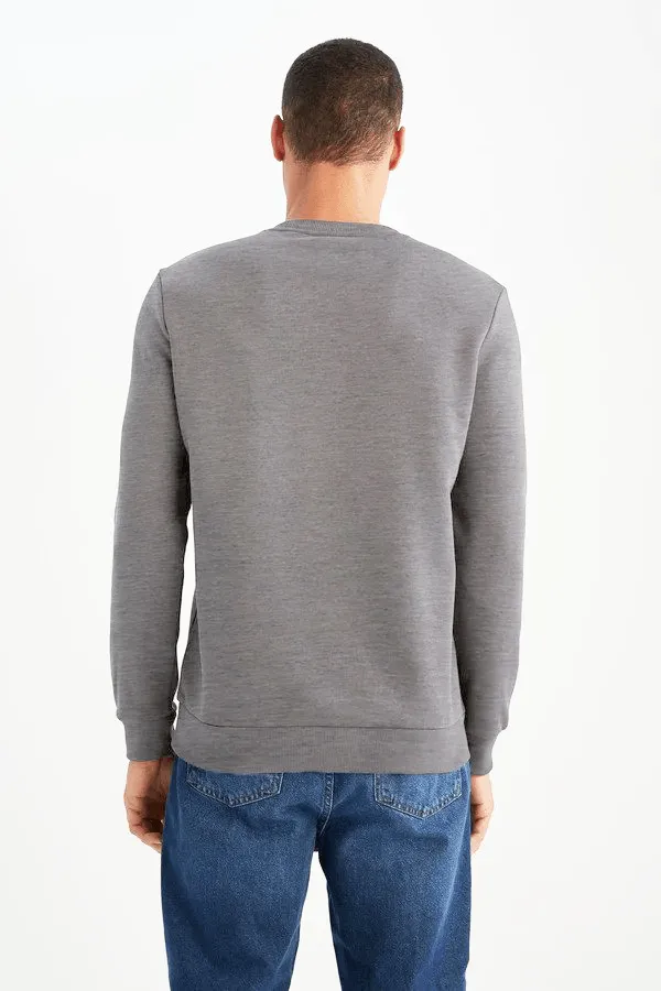 Regular Fit Crew Neck Long Sleeve Sweatshirt - Charcoal