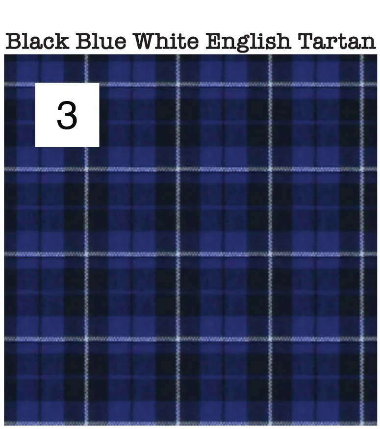 Roosevelt  // Navy English Mini Check Tartan - SMALL BATCH STYLE
